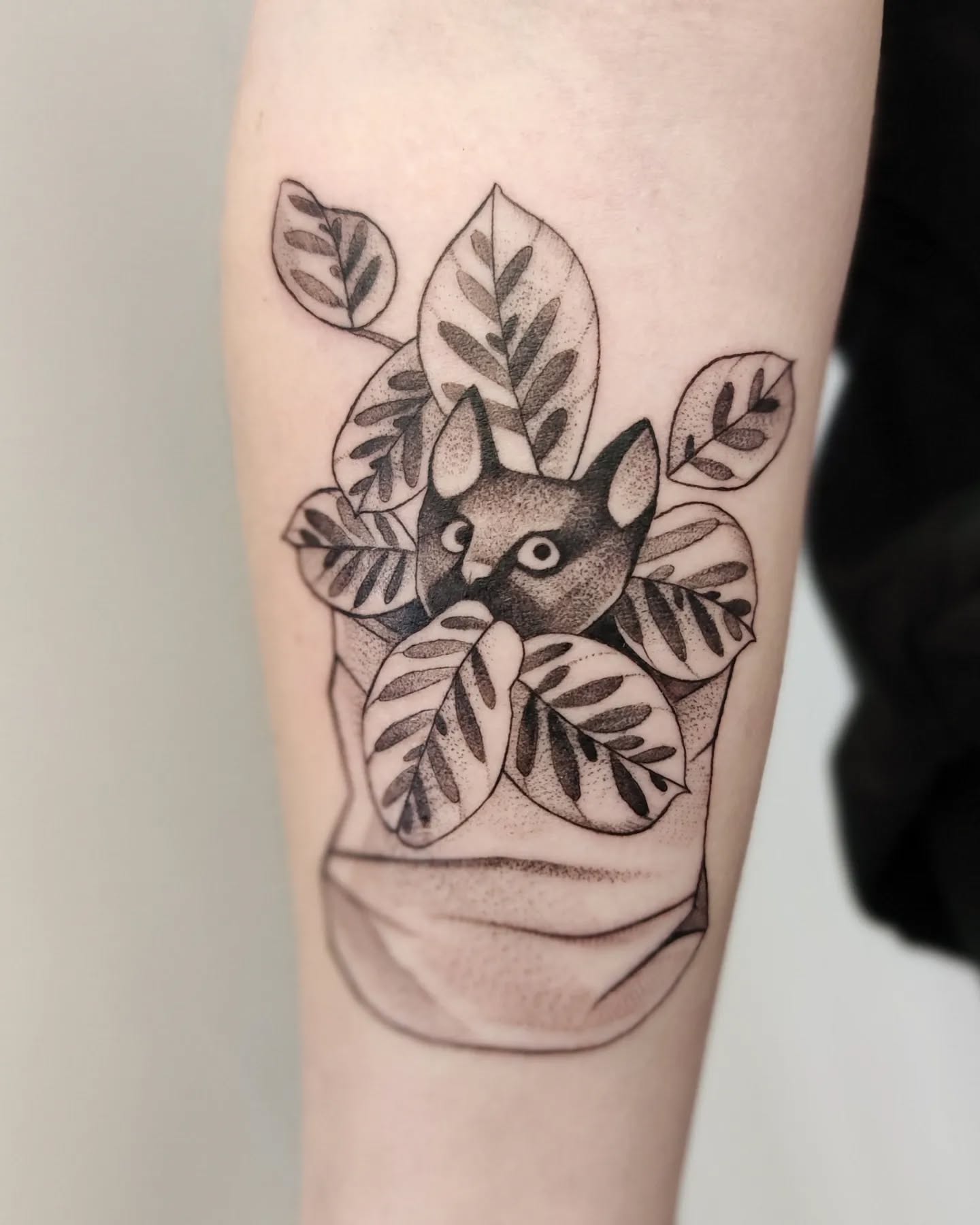 Calathea Purrpurr w tatuażu
