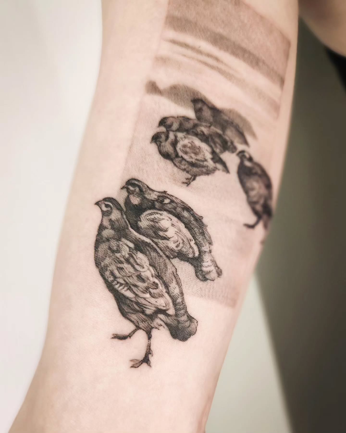 Tatuaż z Kuropatw