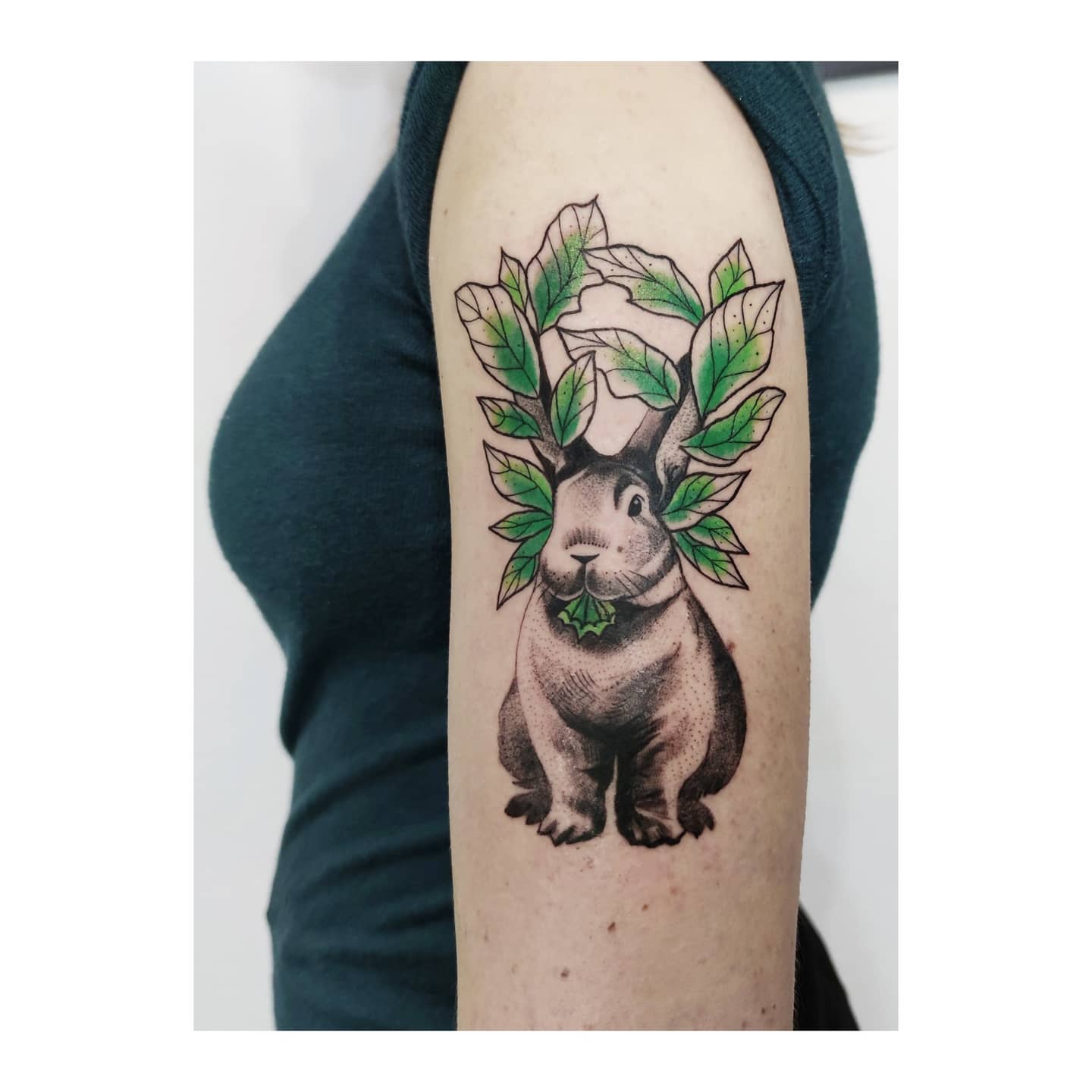 Króliczek z wolnego flasha