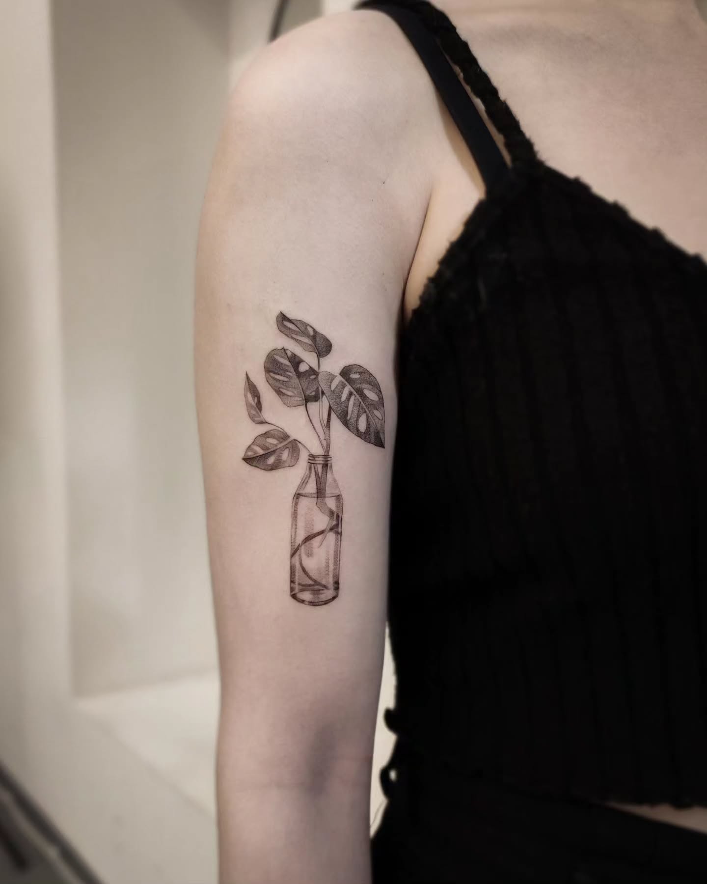 Monstera w butelce