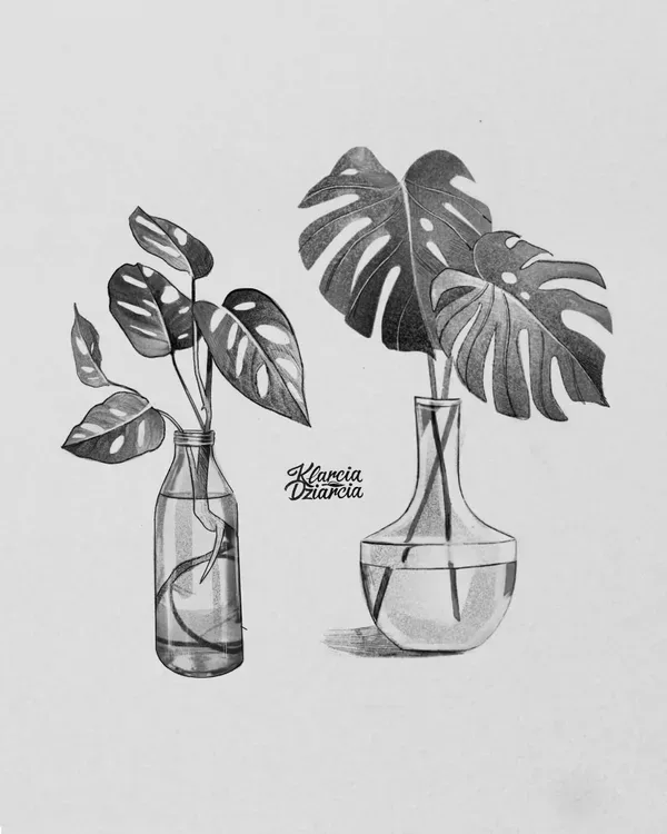Wolna monstera