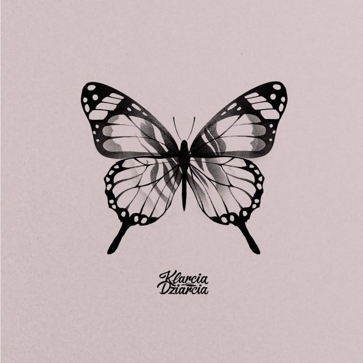 Motyl i wolne wzory