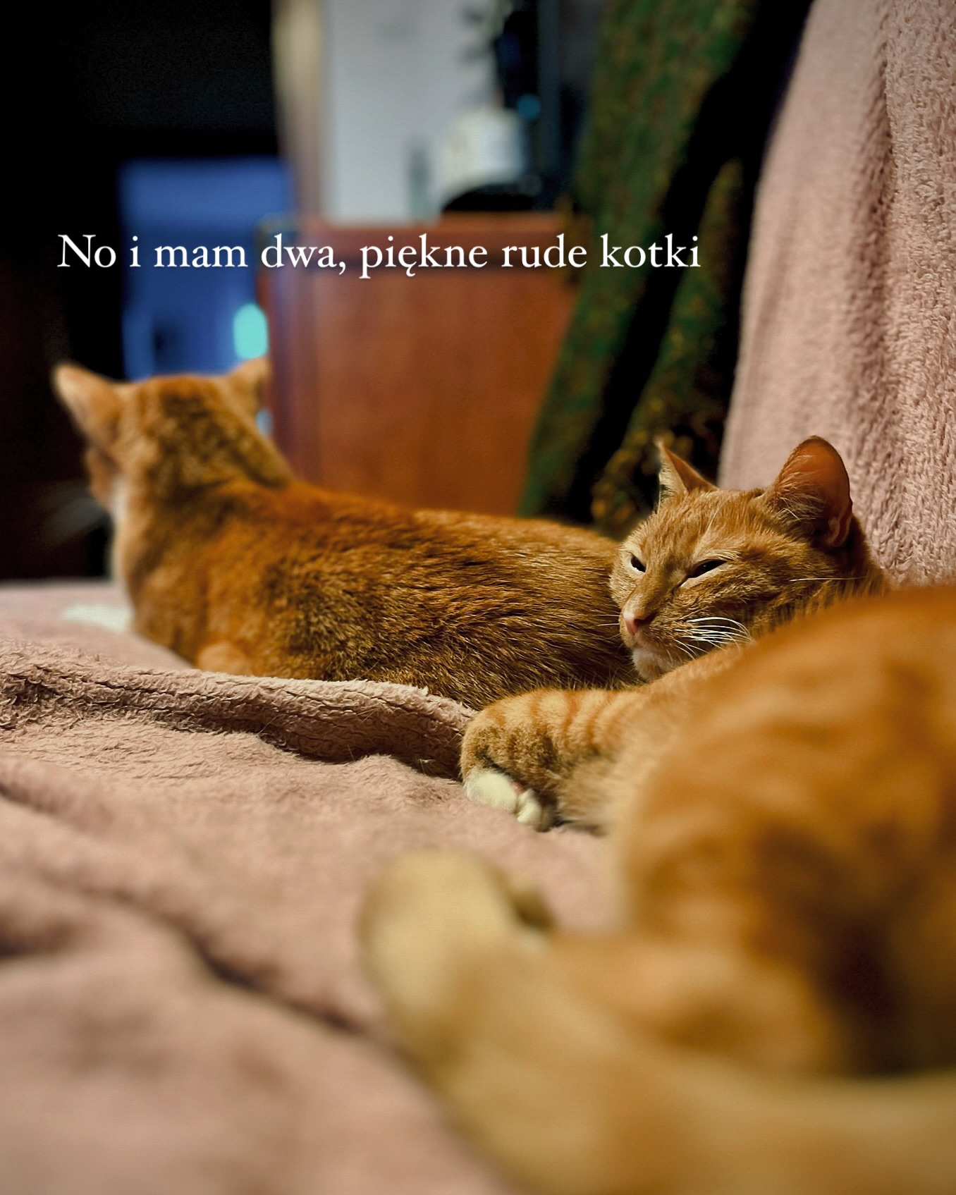 Projekt z 01/31/2025 - Nazywam się Klara Keczyńska - Slide 6