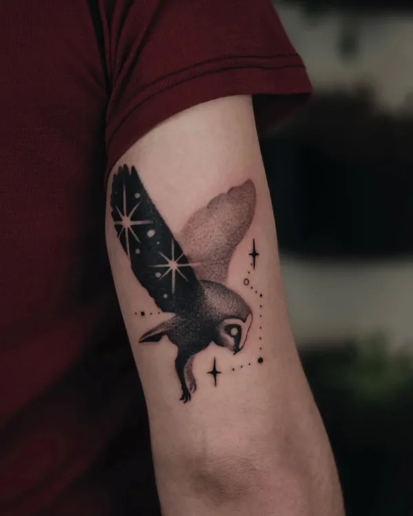 Projekt z 02/16/2022 - WINCYJ TAKICH 🦉 Sóweczka d