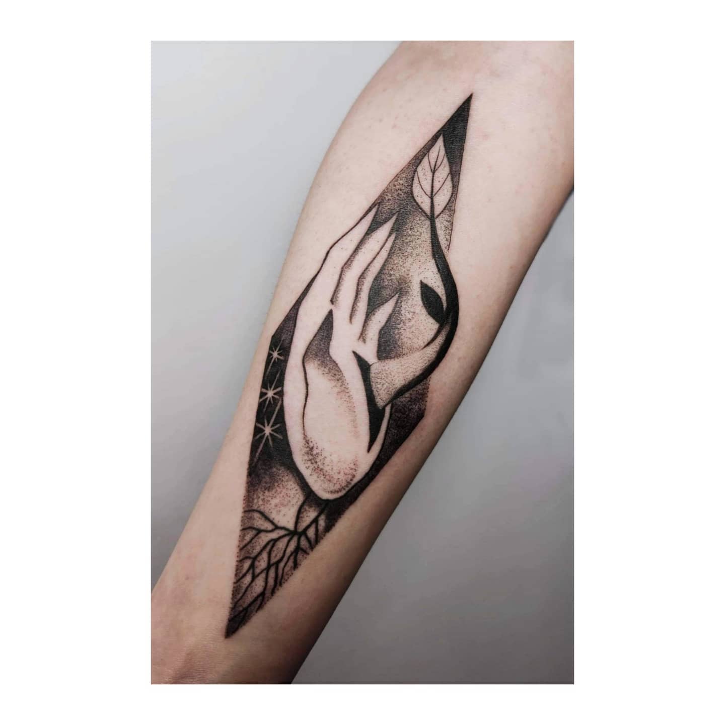 Projekt z 02/28/2021 - Supernova 💥