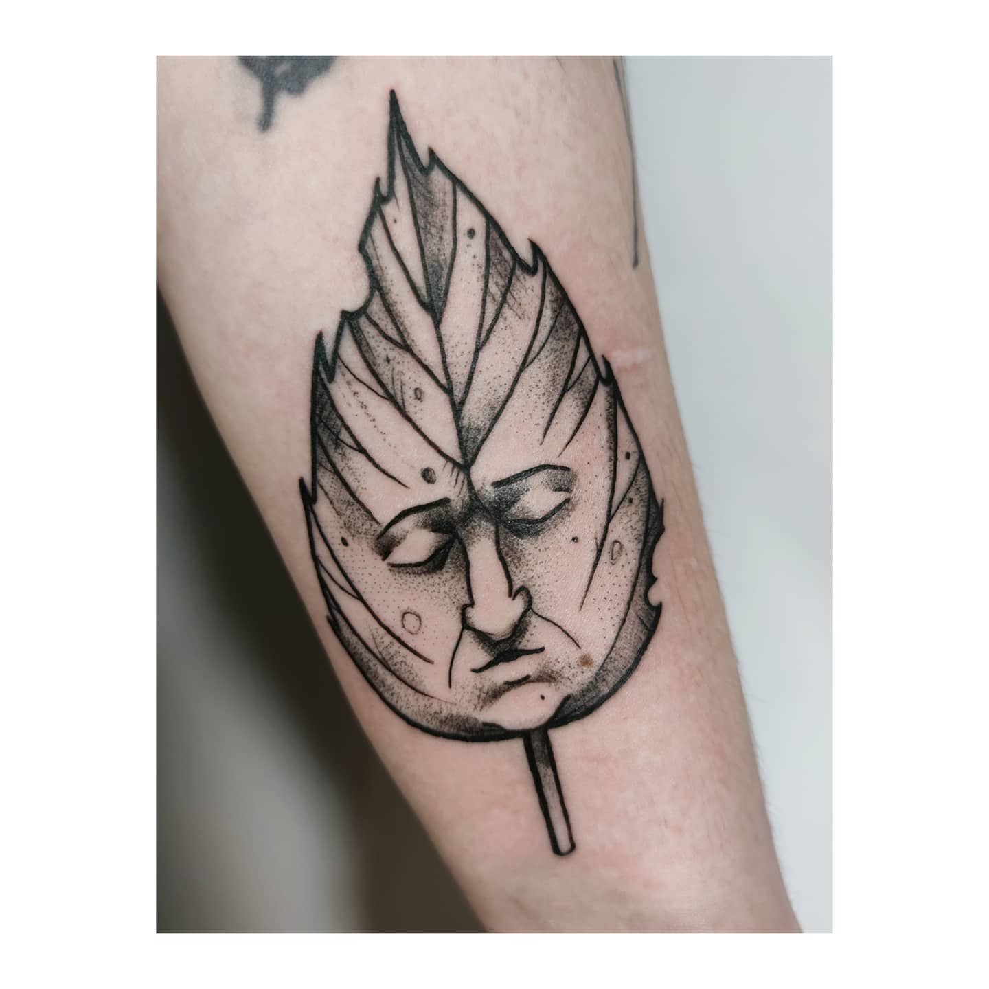 Projekt z 03/04/2021 - Zamyślony twarzolistek