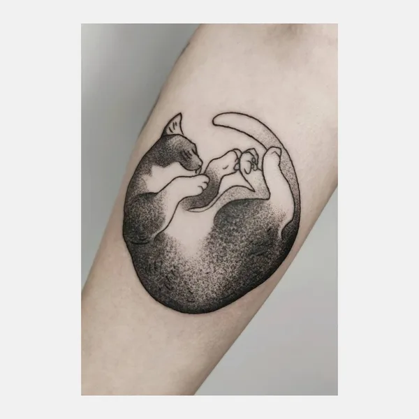 Projekt z 03/18/2021 - Kici kici 💕🐱 Jest to...