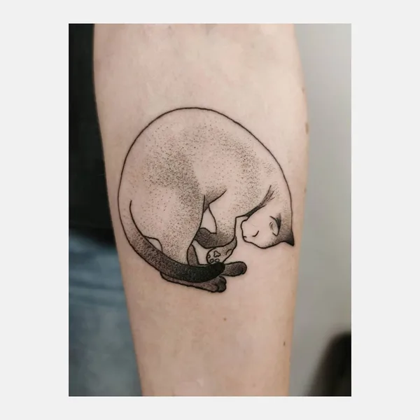 Projekt z 03/19/2021 - Drugi kotek z pary 🐱