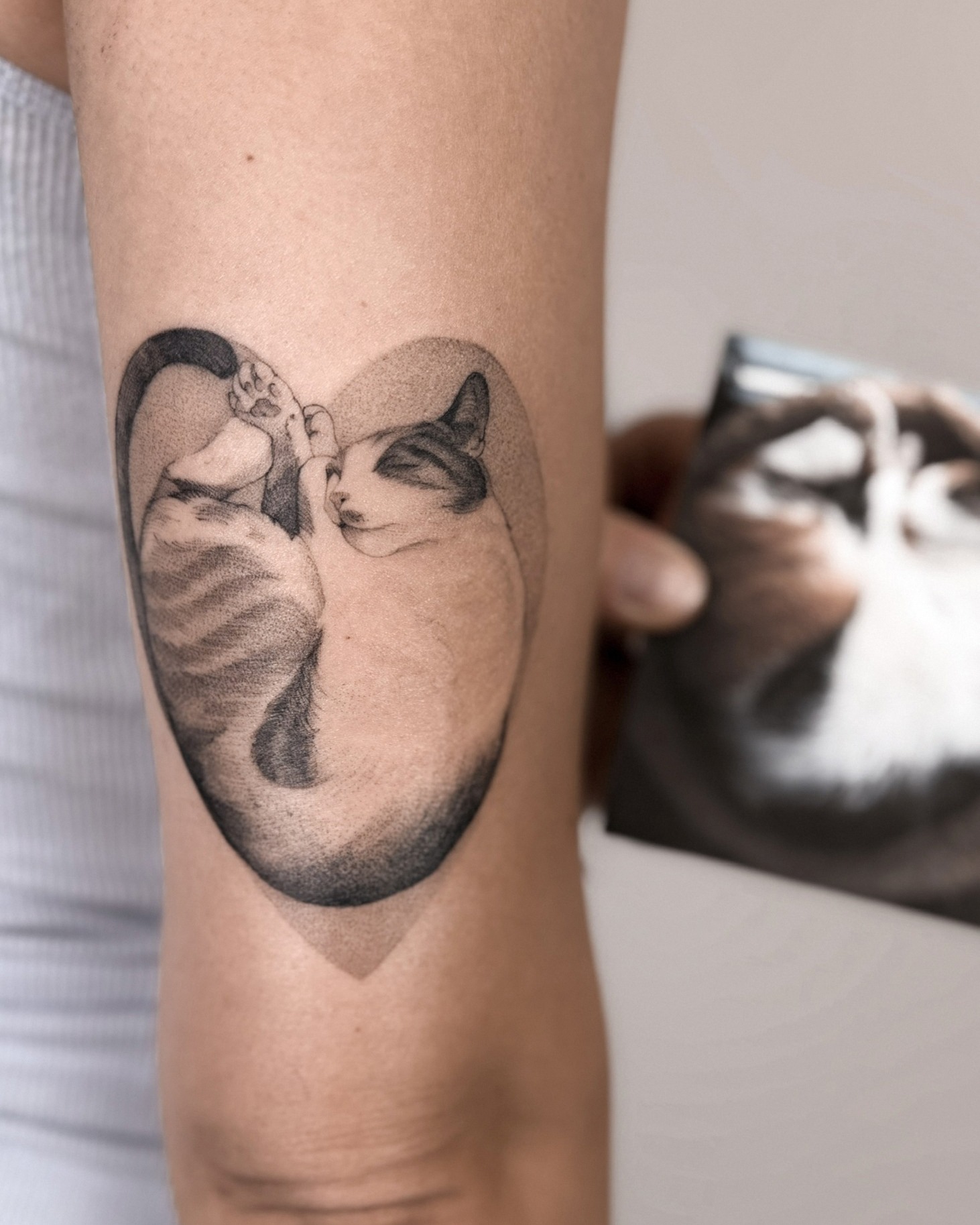 Projekt z 03/19/2026 - Kotka zrobiona na zbiórkę c