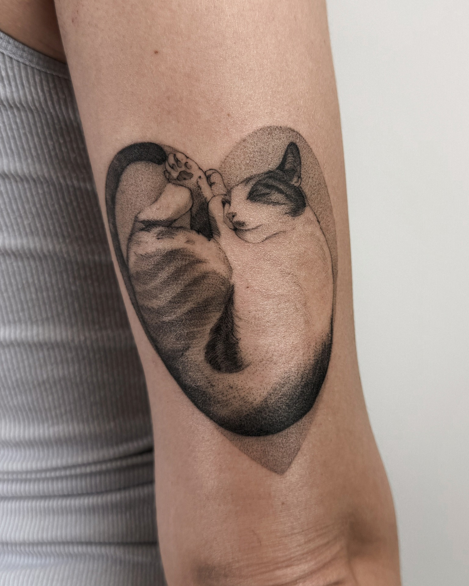 Projekt z 03/19/2026 - Kotka zrobiona na zbiórkę c - Slide 3