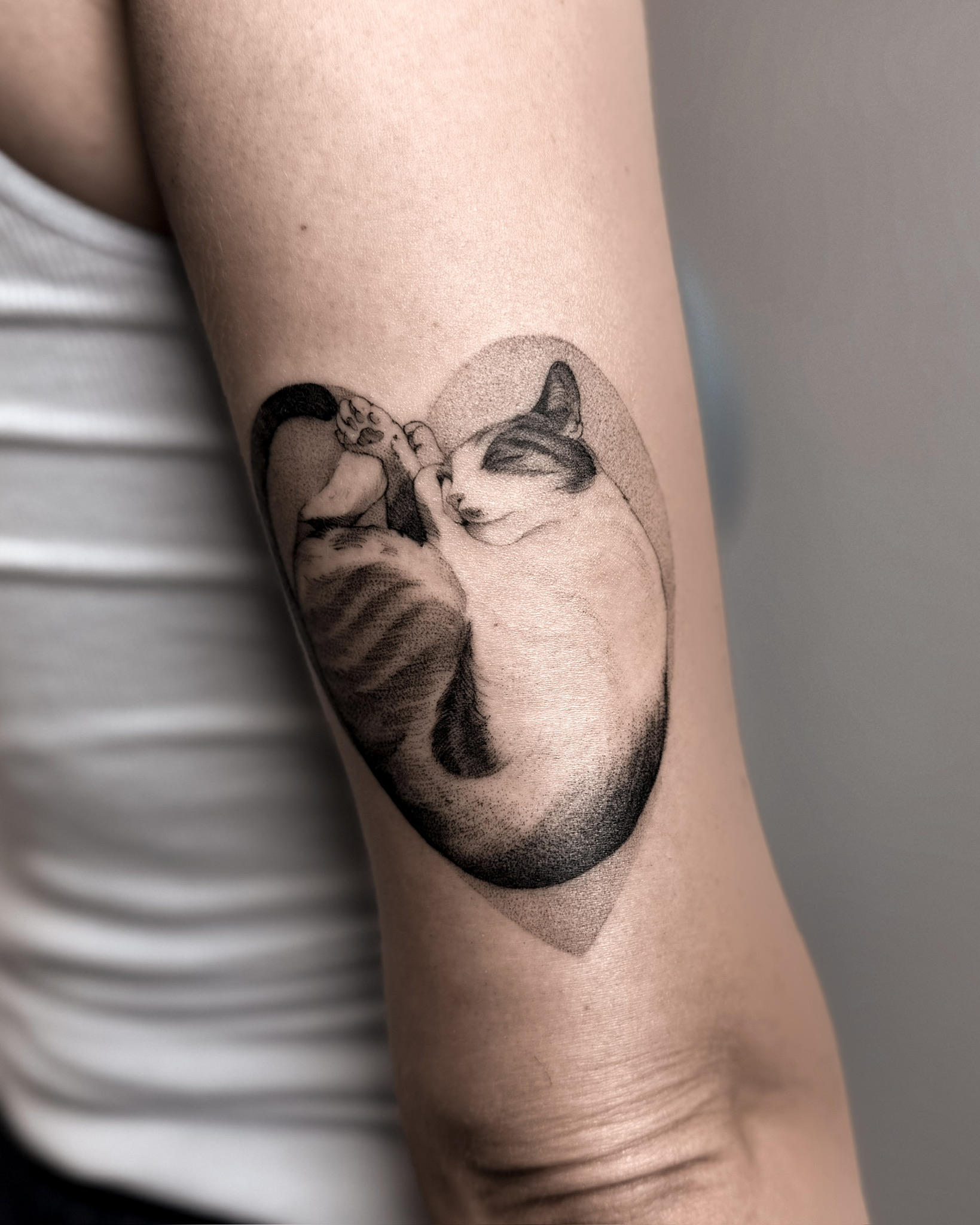 Projekt z 03/19/2026 - Kotka zrobiona na zbiórkę c - Slide 2