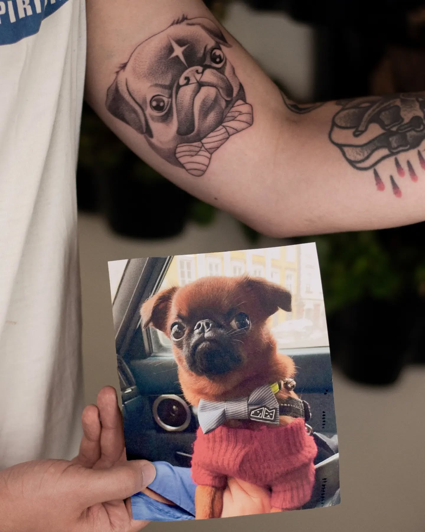 Projekt z 03/21/2022 - To dla mnie ogromna przyjem - Slide 1