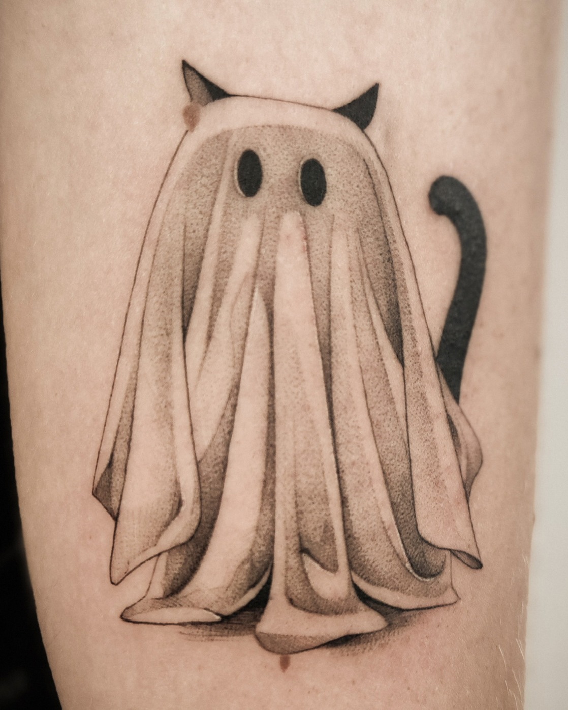 Projekt z 03/23/2026 - Kot w przebraniu ducha, któ