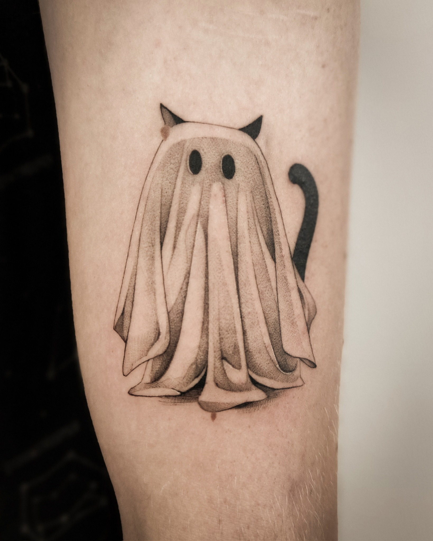 Projekt z 03/23/2026 - Kot w przebraniu ducha, któ - Slide 2