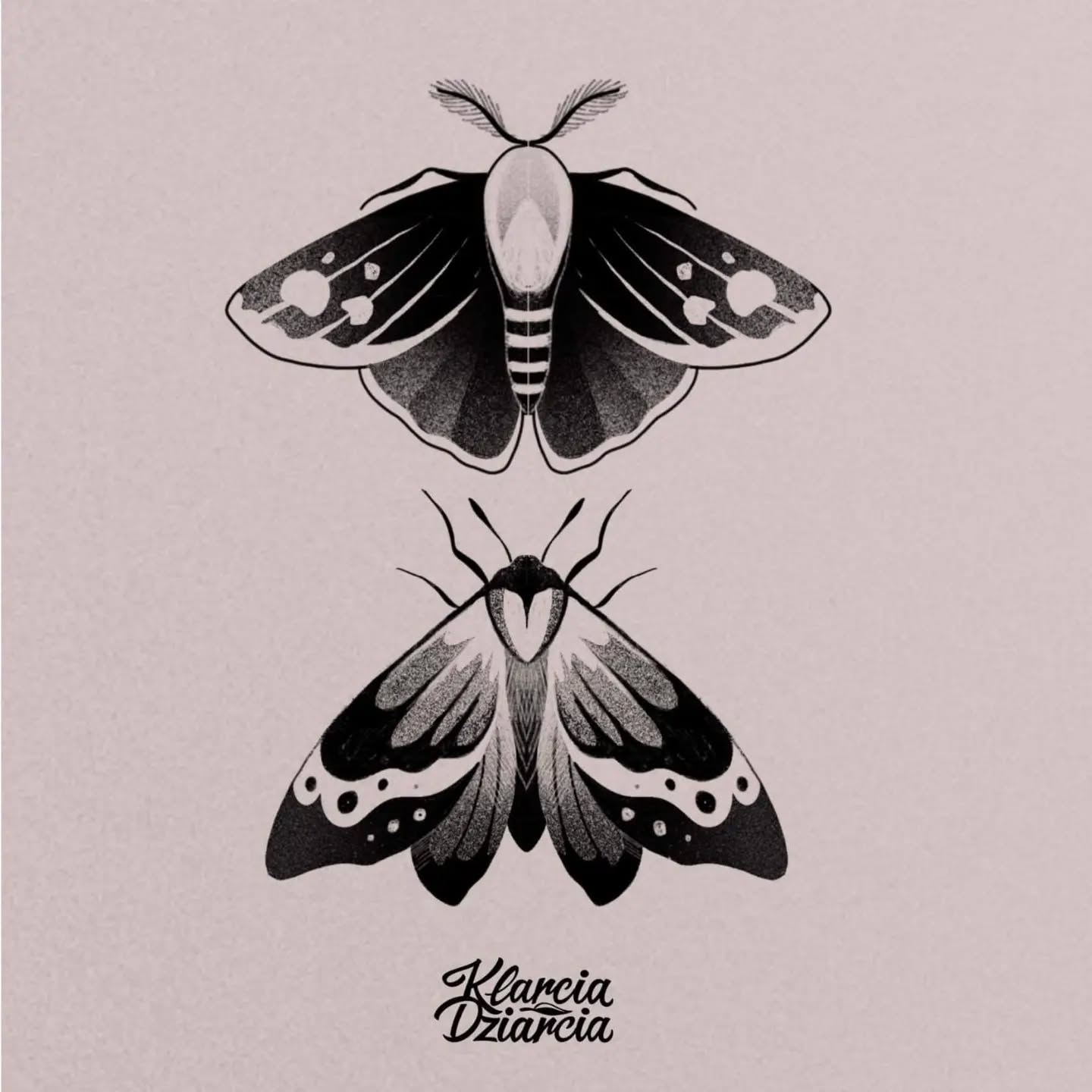 Projekt z 03/27/2022 - Ciemki 🦋 do zgarnięcia!