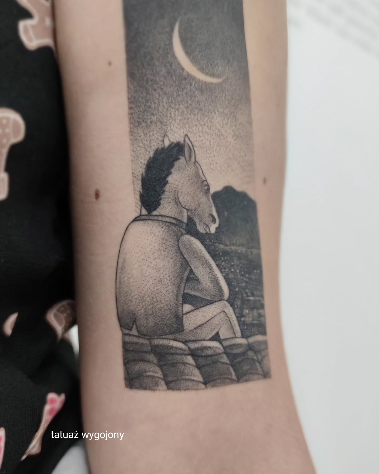 Projekt z 04/14/2024 - BoJack dla Marii 🐴 już... - Slide 3