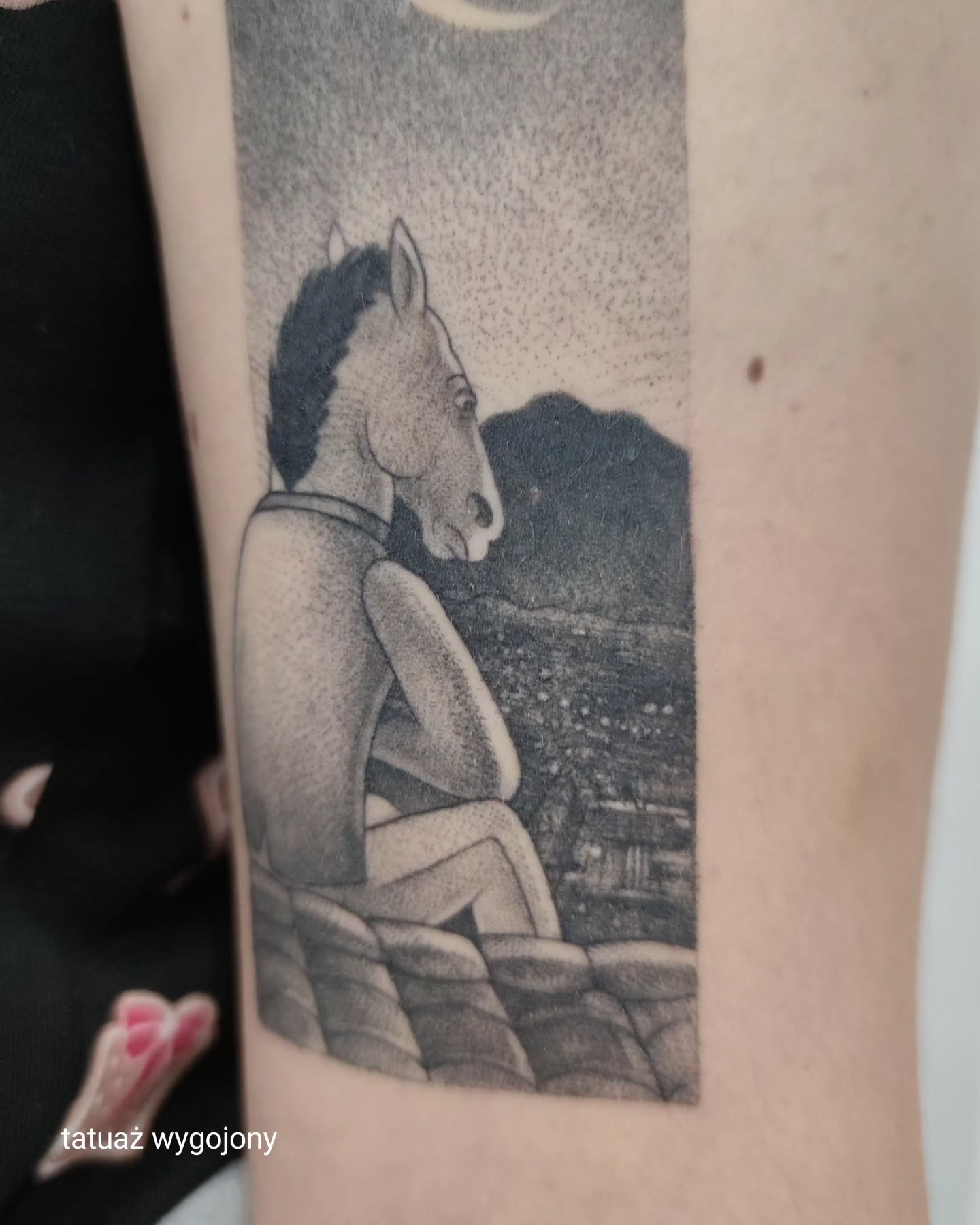 Projekt z 04/14/2024 - BoJack dla Marii 🐴 już... - Slide 2