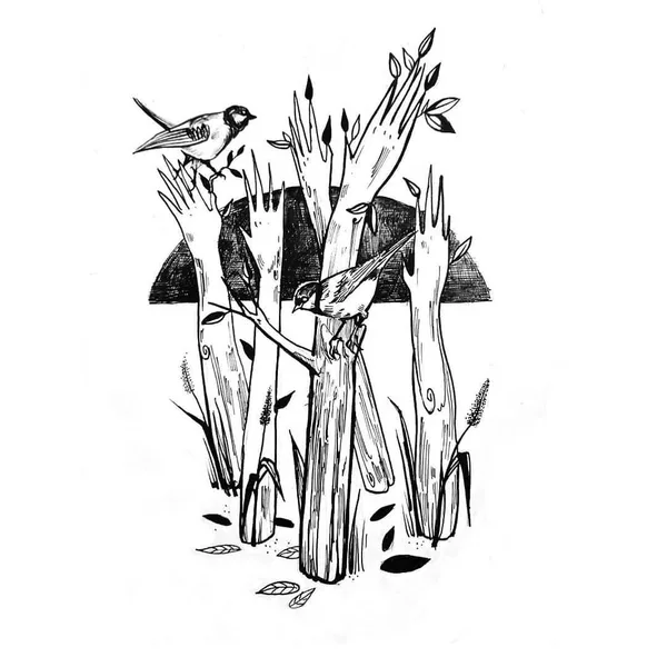 Projekt z 05/22/2020 - ,,Planta Sapiens" (Roślina 