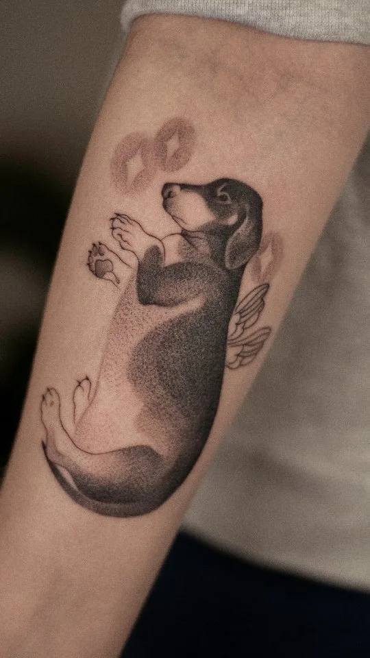 Projekt z 06/07/2022 - Parówa 🐶