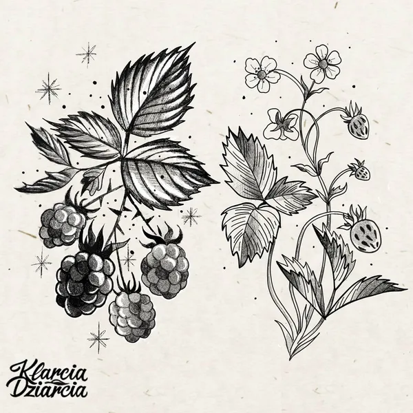 Projekt z 07/23/2021 - Poziomki i maliny 🍓 Wykona