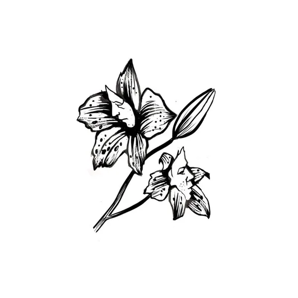 Projekt z 10/08/2020 - Kwiatoludzie, już wydziara