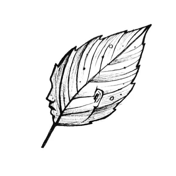 Projekt z 10/28/2020 - 🔹Available design