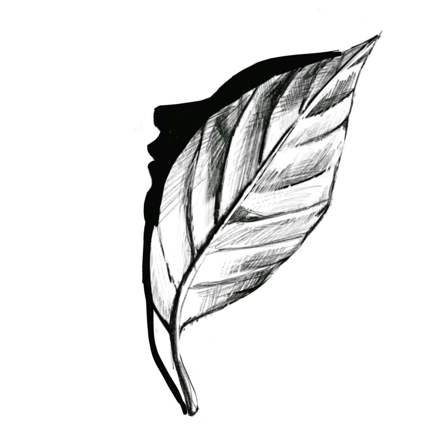 Projekt z 11/08/2020 - ◾️Dostępny wzór