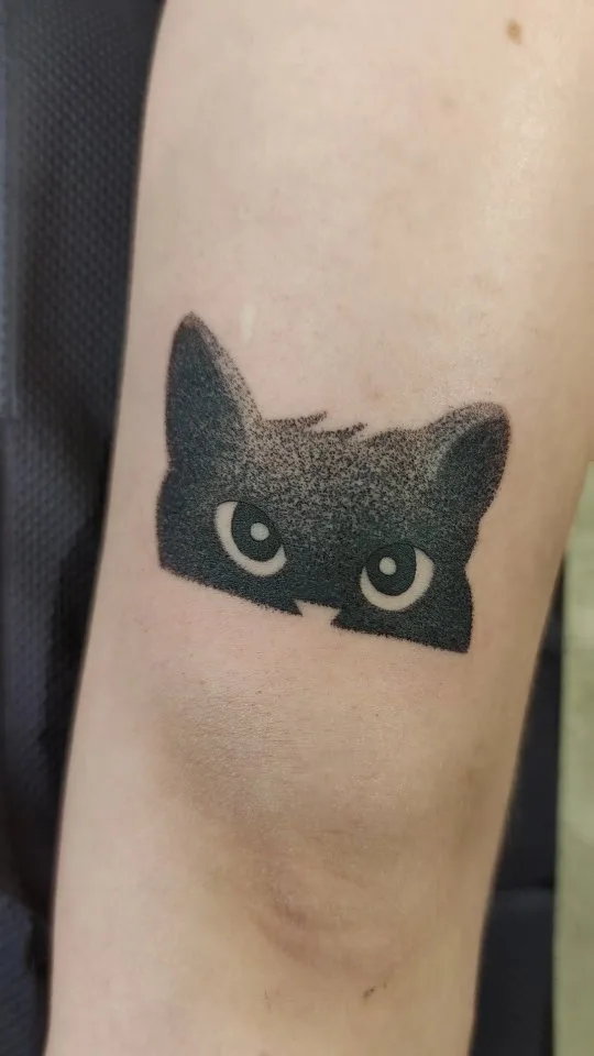 Projekt z 12/17/2021 - Who doesn't love cats? Espe