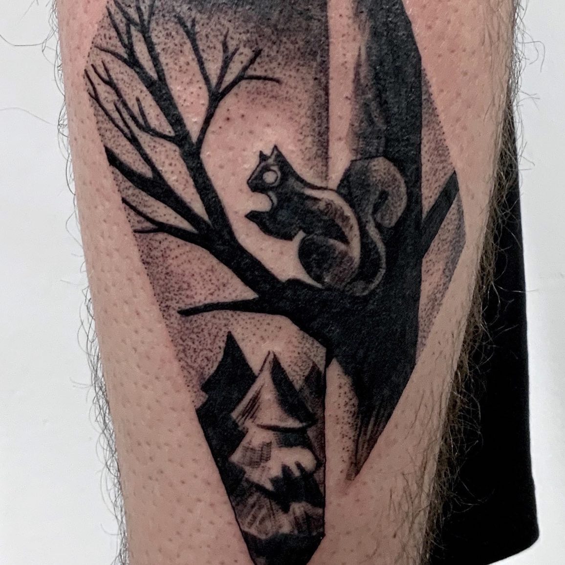 Wiewiorka w tatuazu