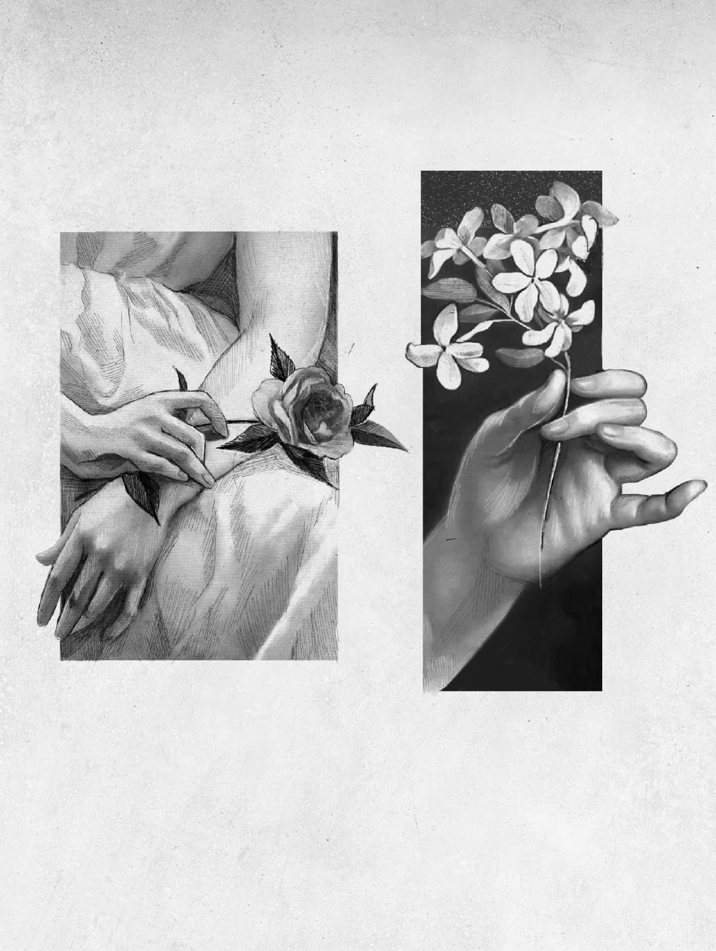 Wzór z gołębiami to mój top 1, przewiń do końca by... - Slide 3